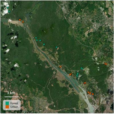 Interactive and independent effects of light and noise pollution on sexual signaling in frogs